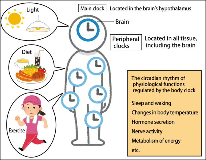 Special Feature 1 Nutritional Science for a New Age The