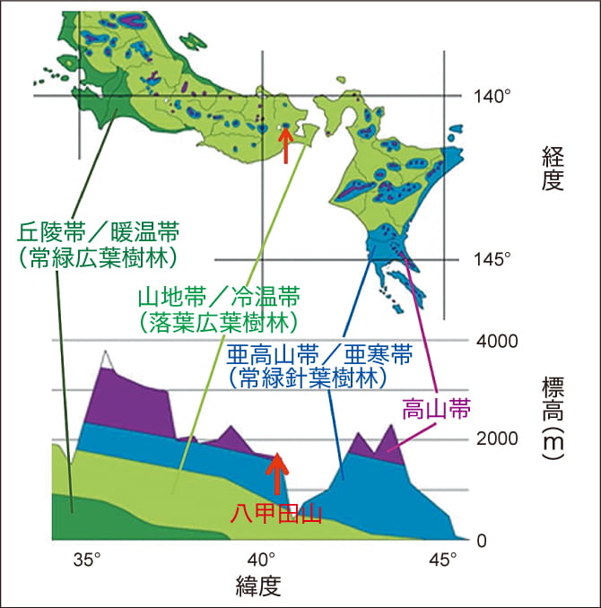 特集 地球温暖化の深淵 日本から「高山植物」は消え「タケ」が勢力拡大!?