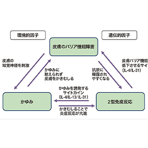 アトピー性皮膚炎 : よりよい治療のためのEBMデータ集 アトピー性皮膚炎 第2版―よりよい治療のためのEBMデータ集