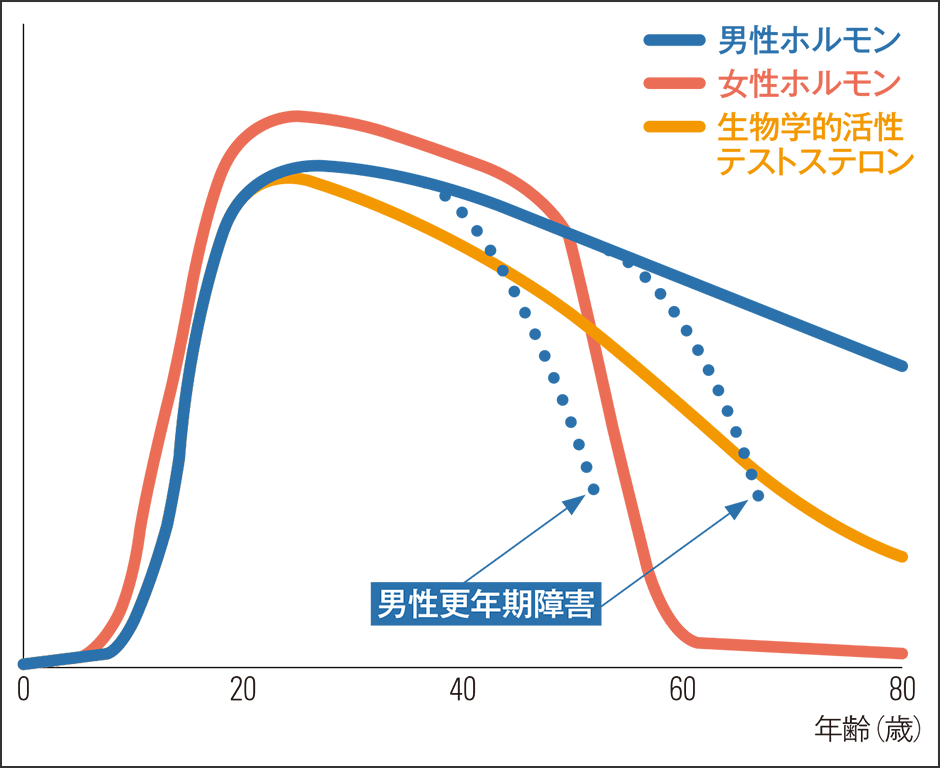 異常なテストステロンレベルを自然に治療できますか?