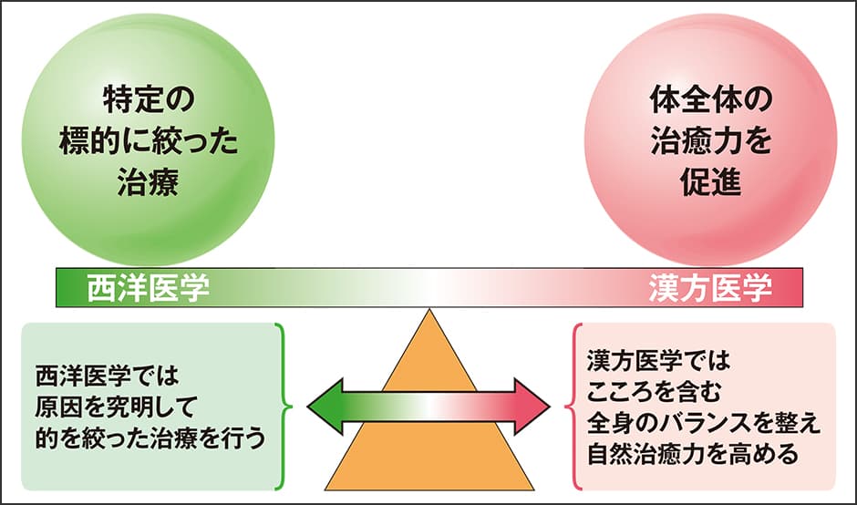 集まる「エビデンス」——重要性を増す漢方薬の役割