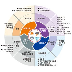 経験則はもはや通用しない！ 社会一丸となった適応策が急務