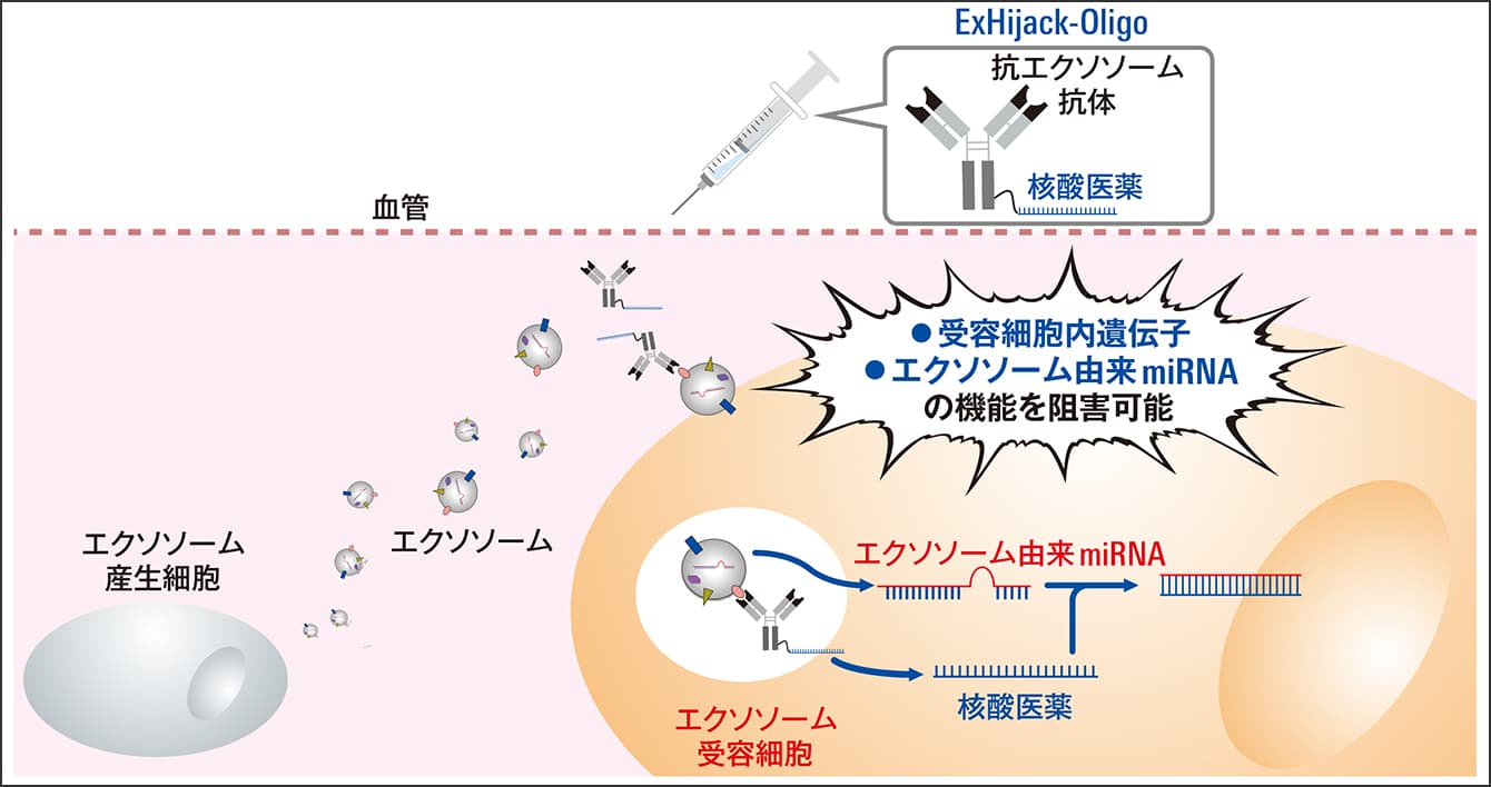 mRNAワクチンで注目！ 核酸医薬の期待と課題